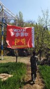 华隆公司组织部分员工参加拓展训练